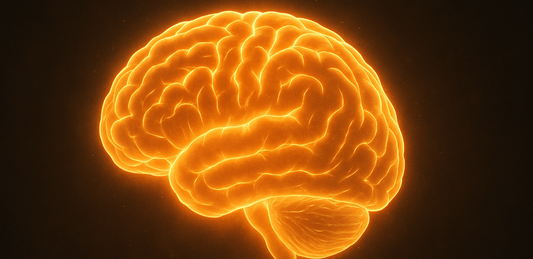 The Psychology of Feeling Pretty: Why Lash Confidence Raises Your Whole Vibe